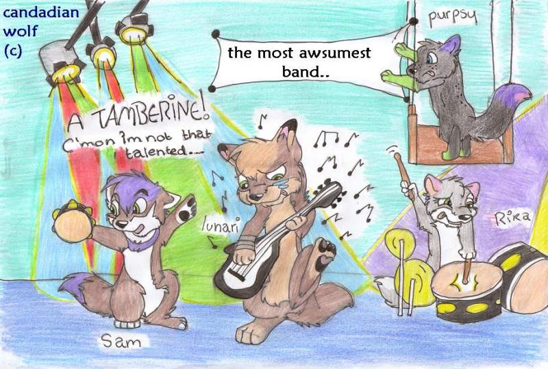 sams band