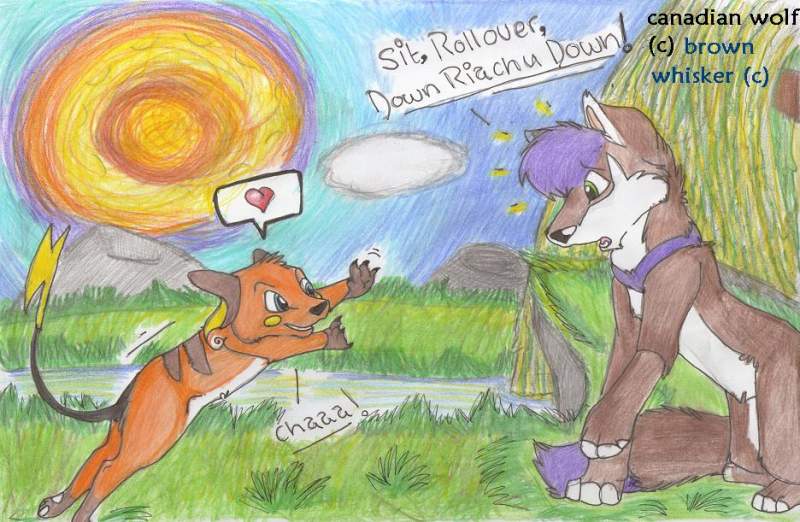 for himiviti