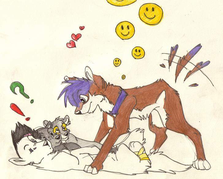 to wolf lion, purpsy and akanshoe's spirt