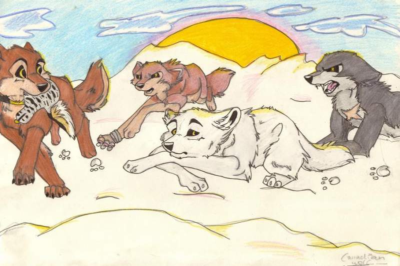WOLFS RAIN!