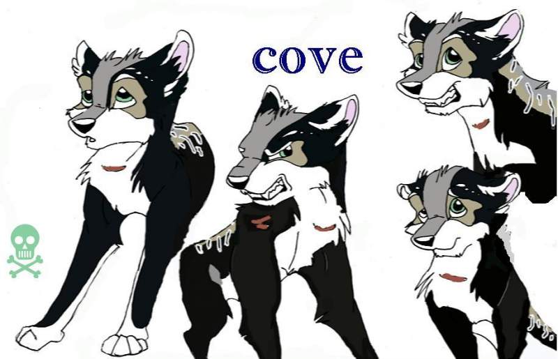 Cove