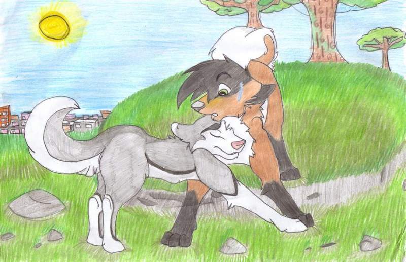 for tealhuskey
