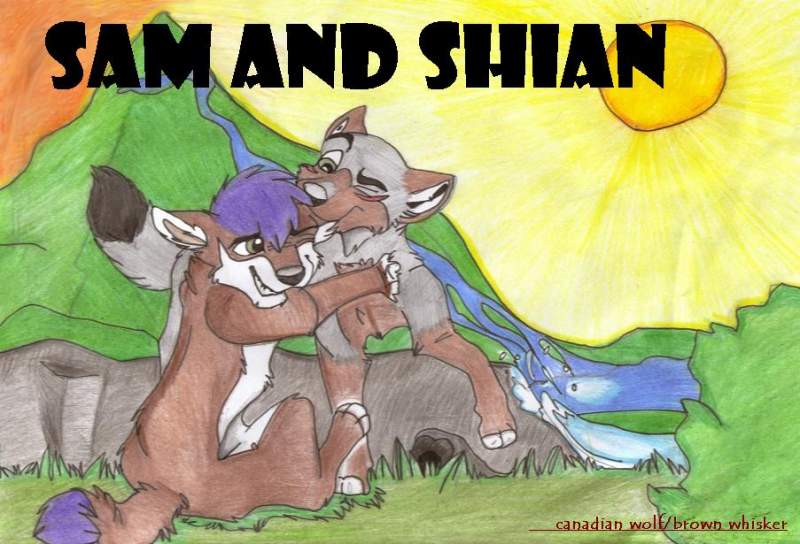 sam and shian