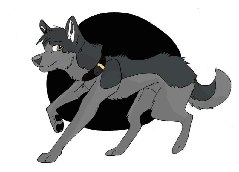 a mate for silver huskuy contest