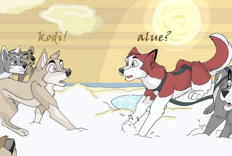 kodi and alue reuntied