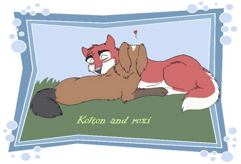 request for kolton