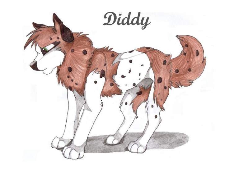 	diddy for kepru
