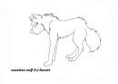 lineart 1
