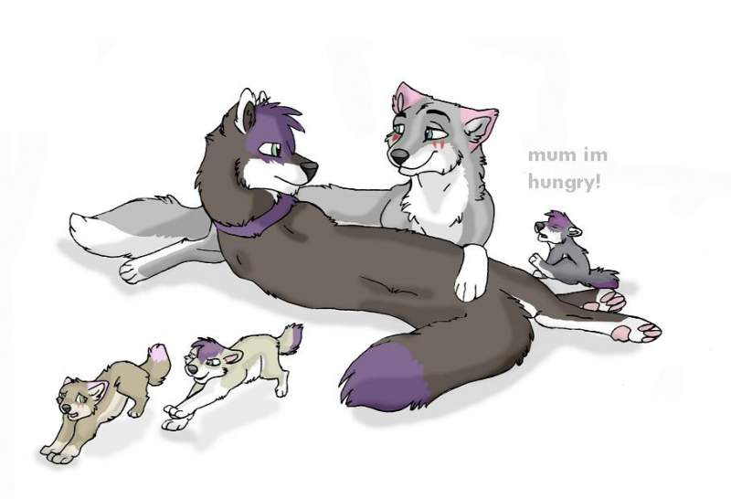 girfty for wolf-fang30