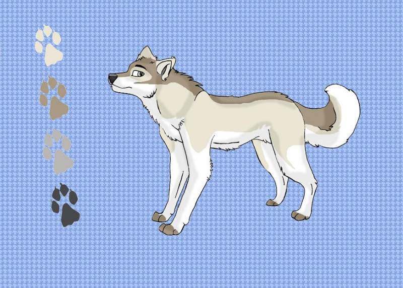 new fursona
