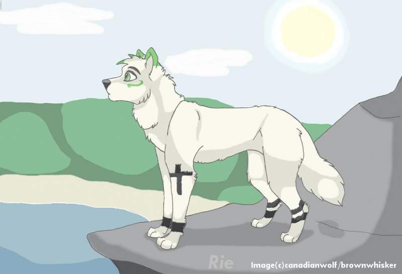 trade with eccentric zeal ;D
