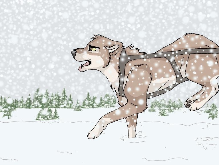 just balto