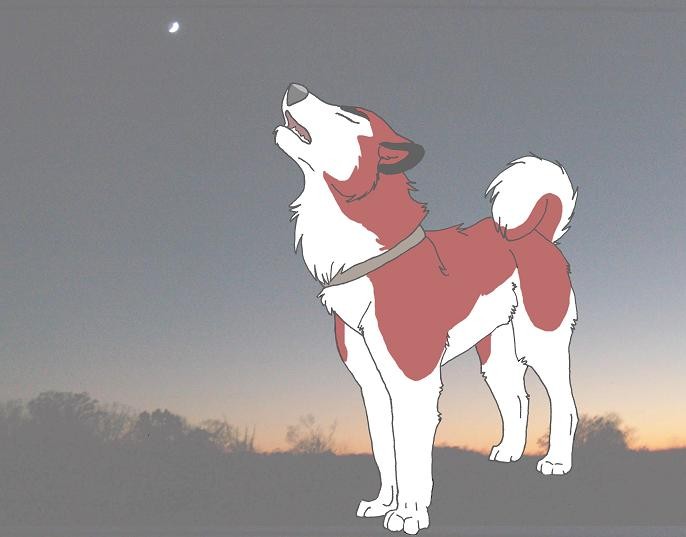 kodi!