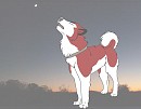 kodi!