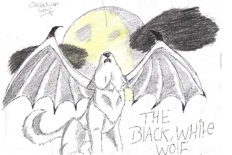 winged wolf