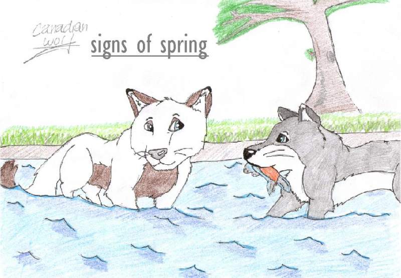 signs of spring
