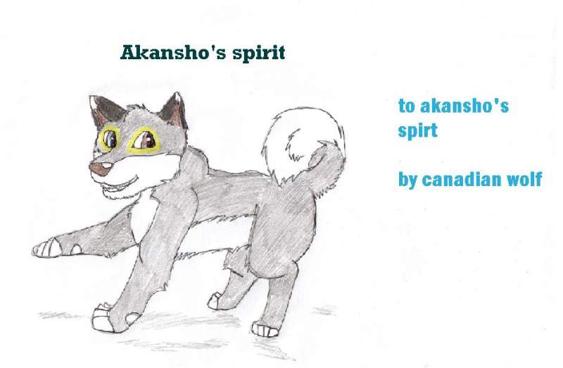 akansho's spirt