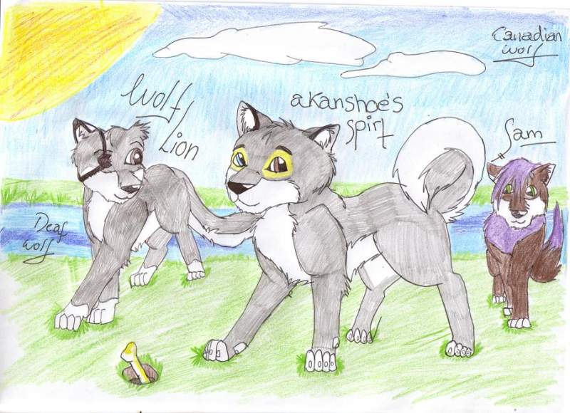 request to wolf lion and akanshoe's spirt