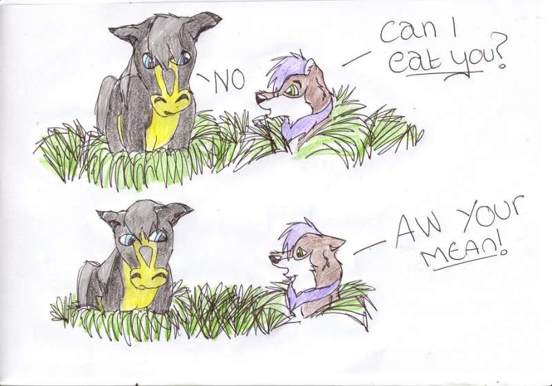 learning how to hunt