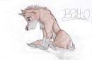 quick picture of balto