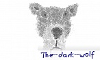 the_dark_wolf