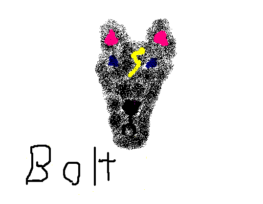  Bolt