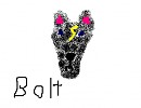  Bolt