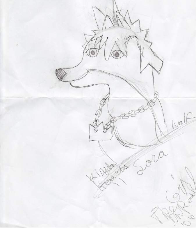 Sora wolf