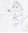 Sora wolf
