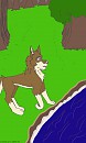 Balto in the woods