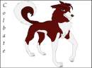 Colbate, son of Balto 