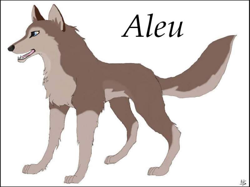 Aleu