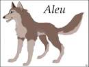 Aleu
