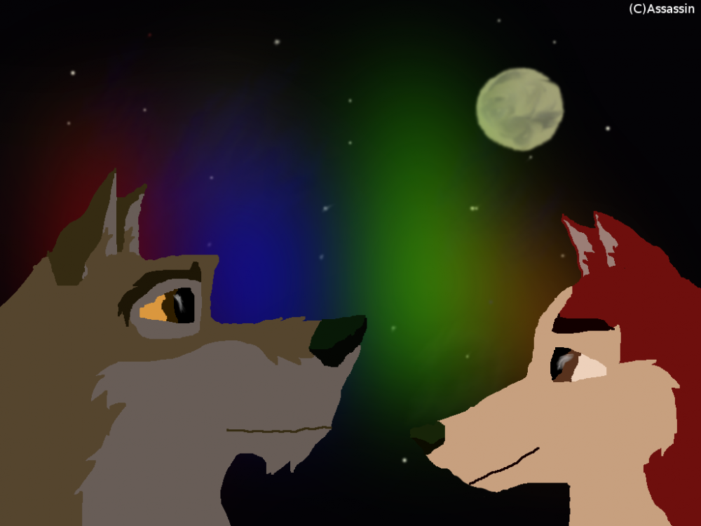 Jenna, Balto, and the Northern Lights