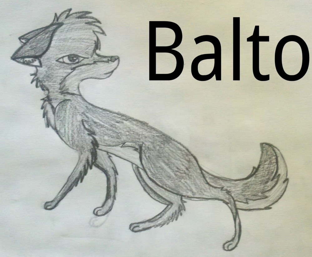 Young Balto