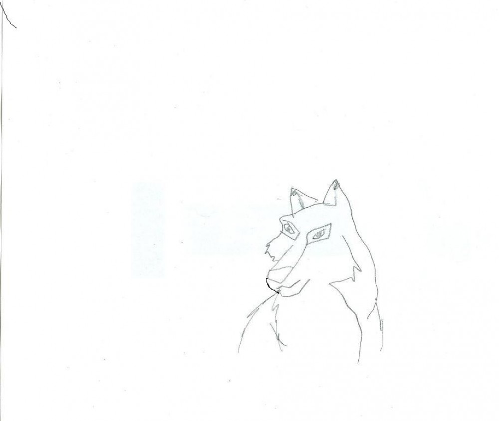 aniu
