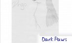 Dark Paws