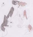 Rush and Saskia