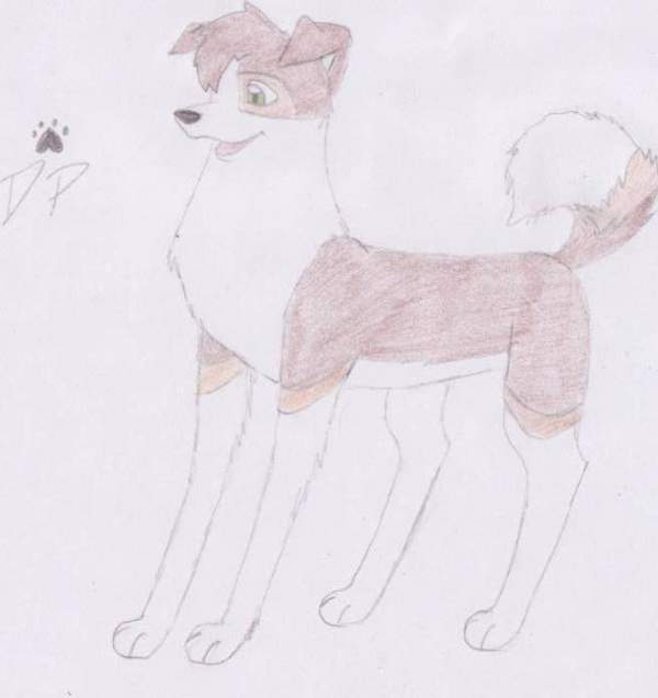 Saskia coloured