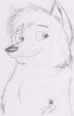 Wolfie head!