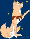 2nd place - surfin wolf