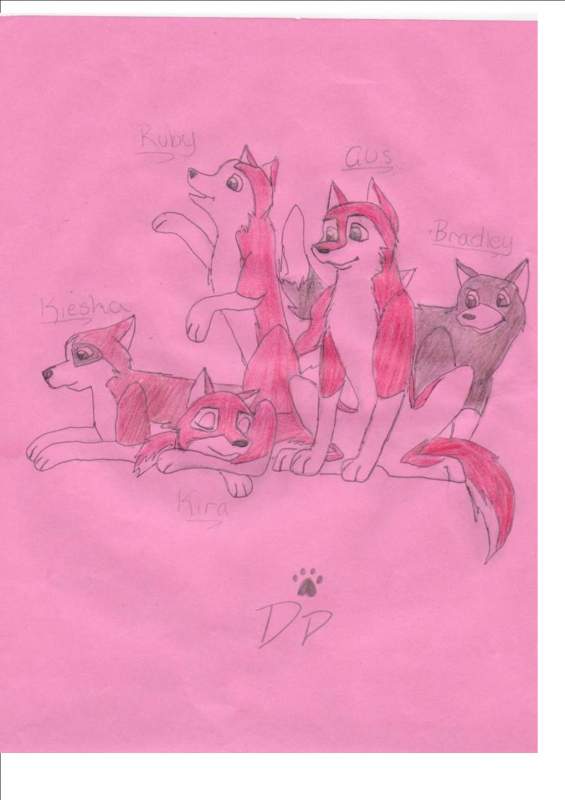 Balto and Jenna's third litter