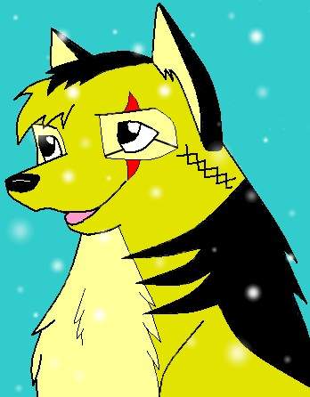 3rd place - Alyssa The Wolf