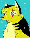 3rd place - Alyssa The Wolf