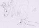 Dragon Dreams