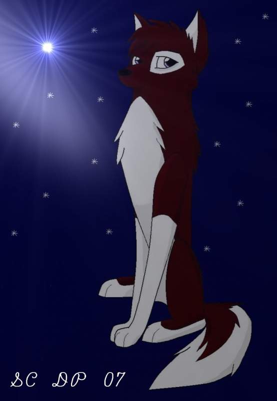 New doggeh/wolfie char