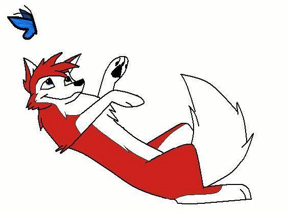 2nd animation