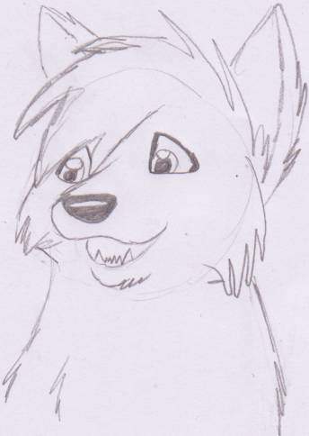 Wolf head sketch