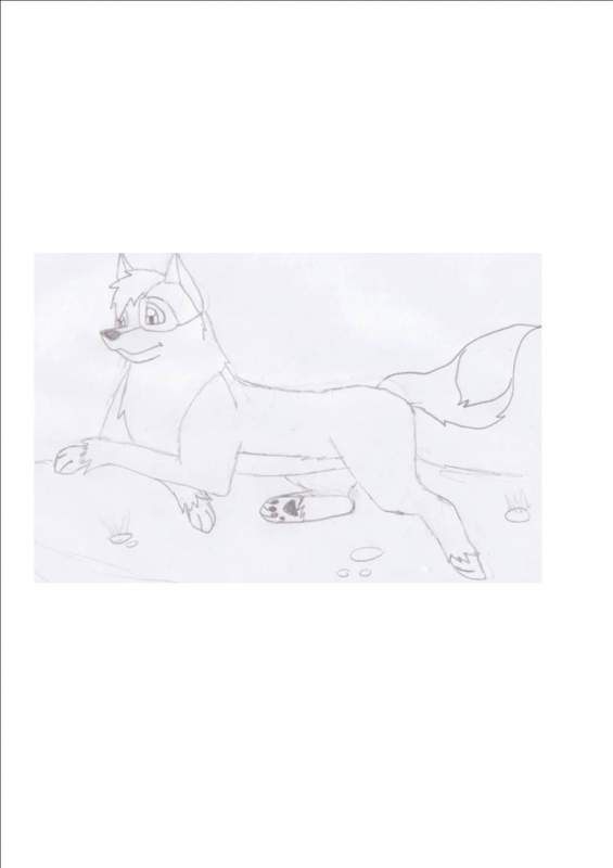 No named doggie