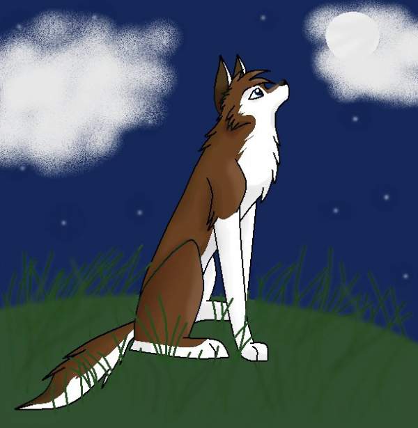 Finished pic